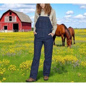 PATAGONIA Worn Wear Steel Forge Denim Overalls